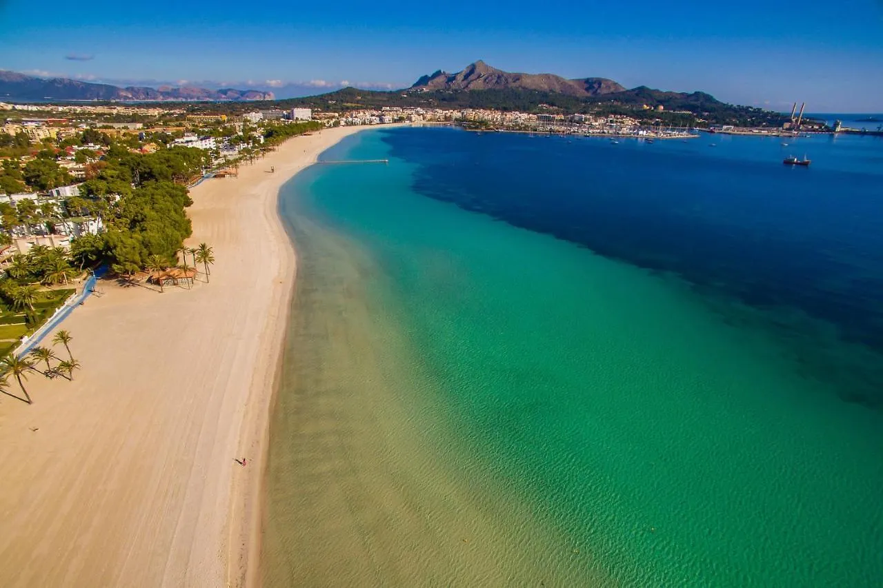 Ideal Property Mallorca - El Sol 알쿠디아 아파트