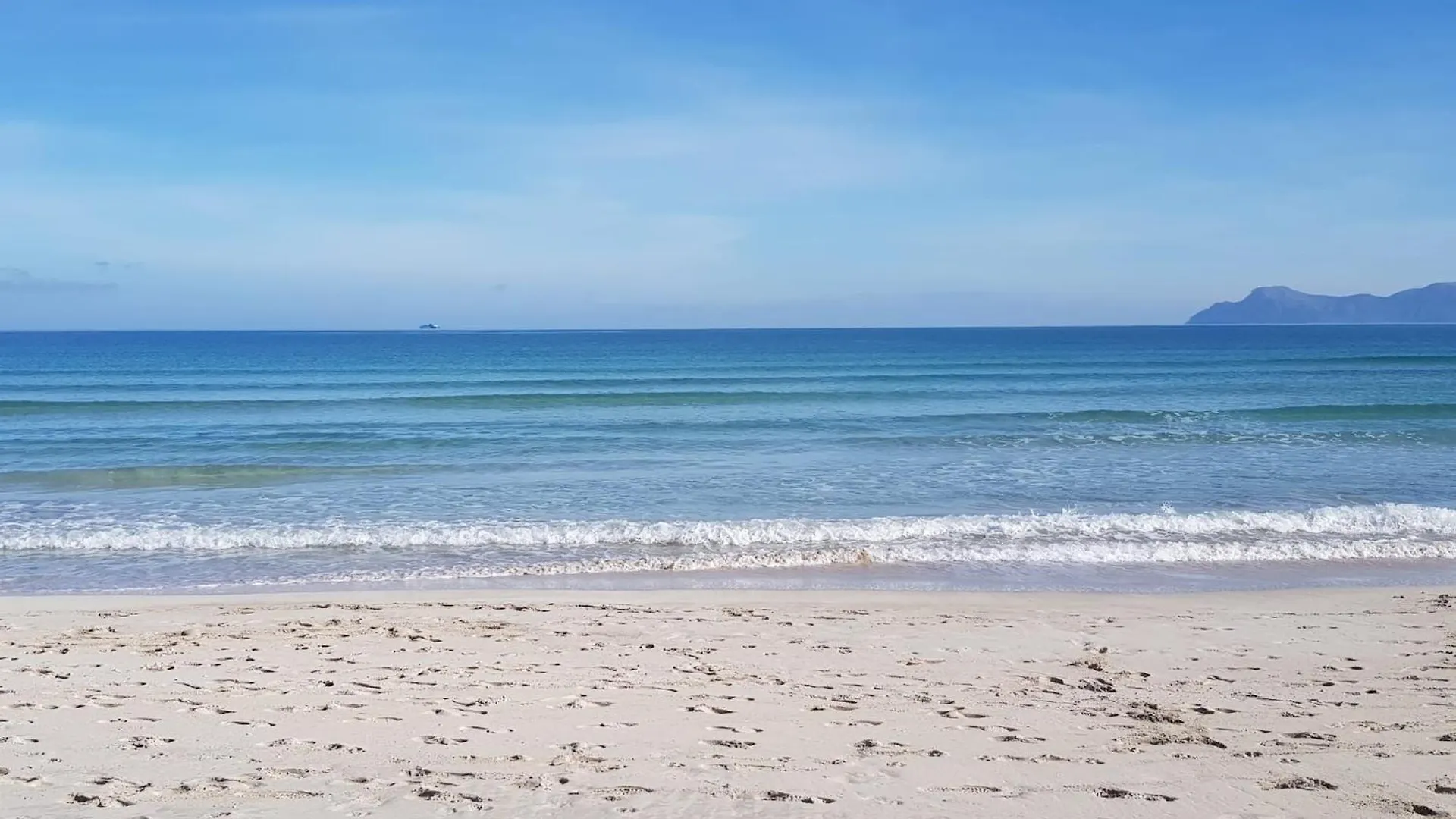 아파트 Ideal Property Mallorca - El Sol 알쿠디아